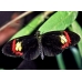 Passiflora Butterflies 10 larvae unidentified Heliconius and allied species 